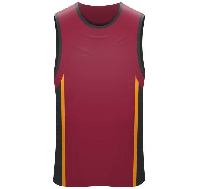 Miami Heat