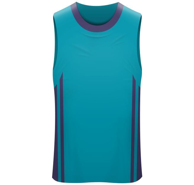 Charlotte Hornets